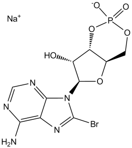 8-Bromo-cAMP sodium 76939-46-3